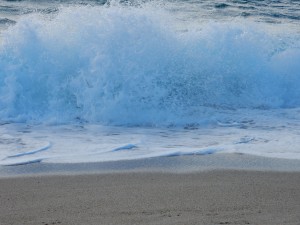 DSCN0285