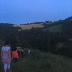 IMG_0736
