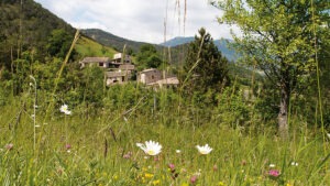 stage de yoga du 5 au 11 juillet dans la Drôme