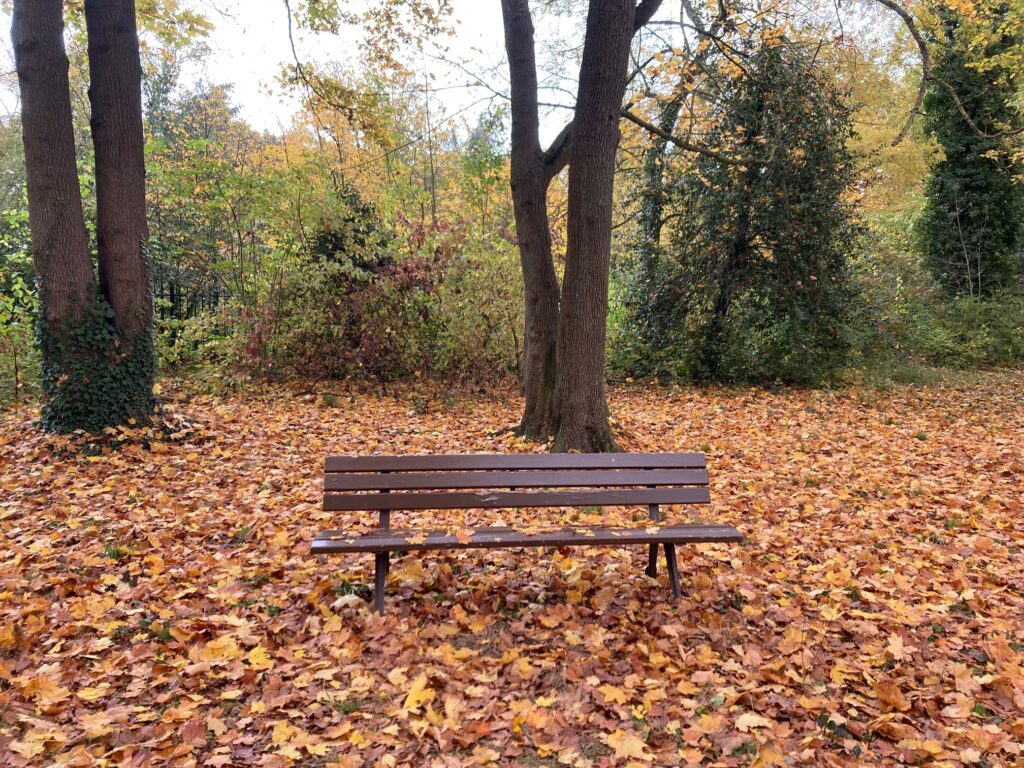 Automne